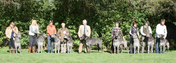 BIS & RBIS Breed Show 2009