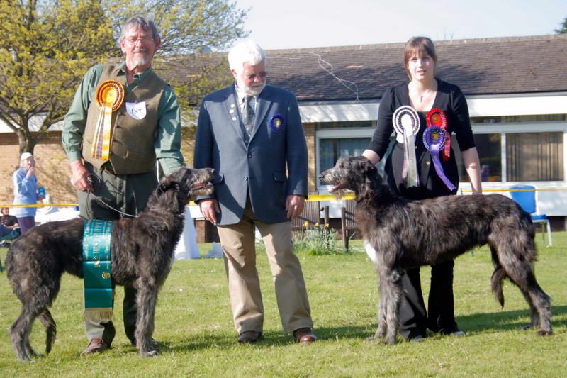 Best Puppies breed show 2010y