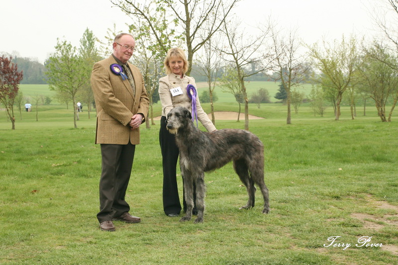 Best Puppy breed show 2011