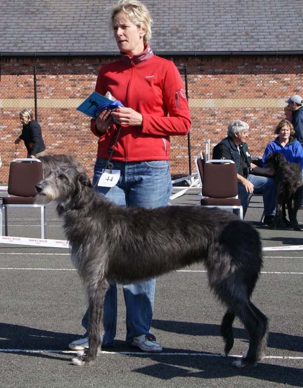 Beardswood Niamh at Calbraidh