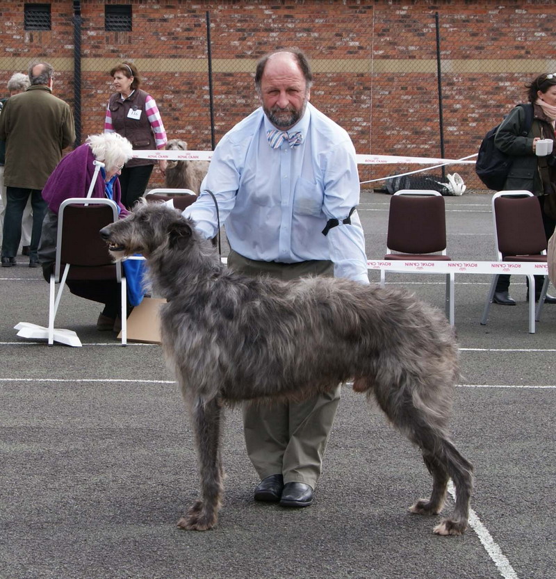 Reserve Best Dog Breed Show 2012