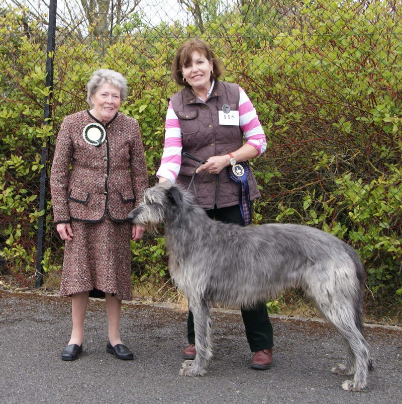 Best Dogs Breed Show 2012