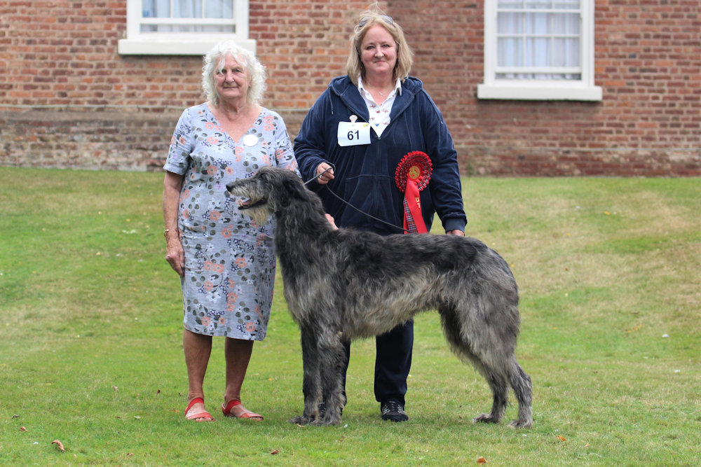 BIS& RBIS Breed Show 2019