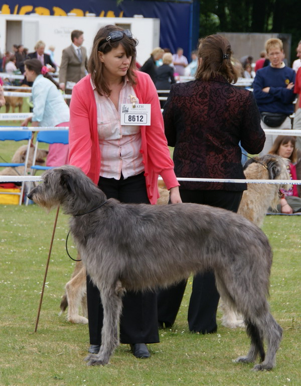 Kingrocks Chieftain's Choice at Glenhaigh