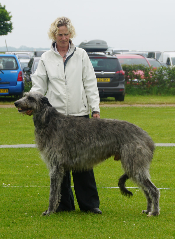 Beardswood Ripley for Calbraidh