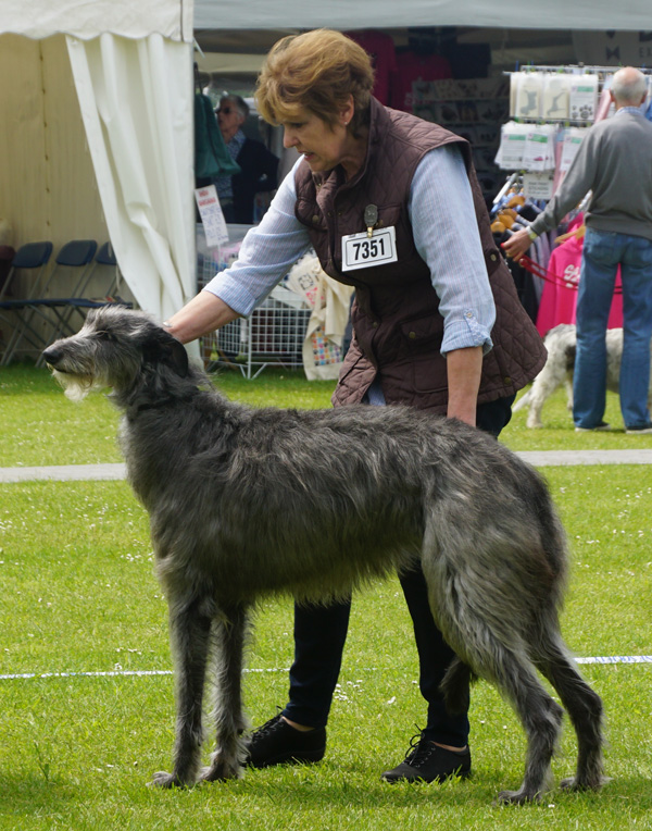 Shagiead Aunty Hetty for Lordswell