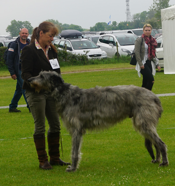 Packway Comanche Moon