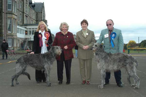 BOB & BOS Deerhound Club Breed Show 2004