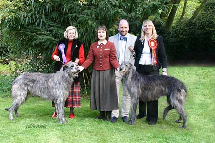 BOB & BOS Deerhound Club Breed Show 2004