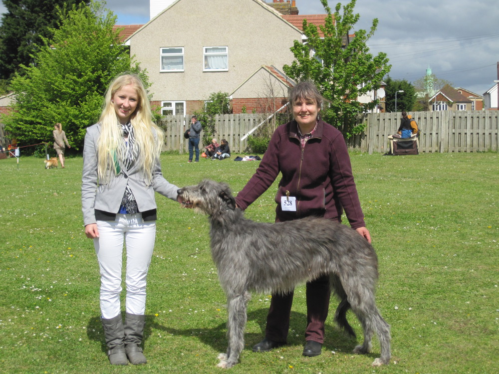 Ashford & Faversham BOB  2013