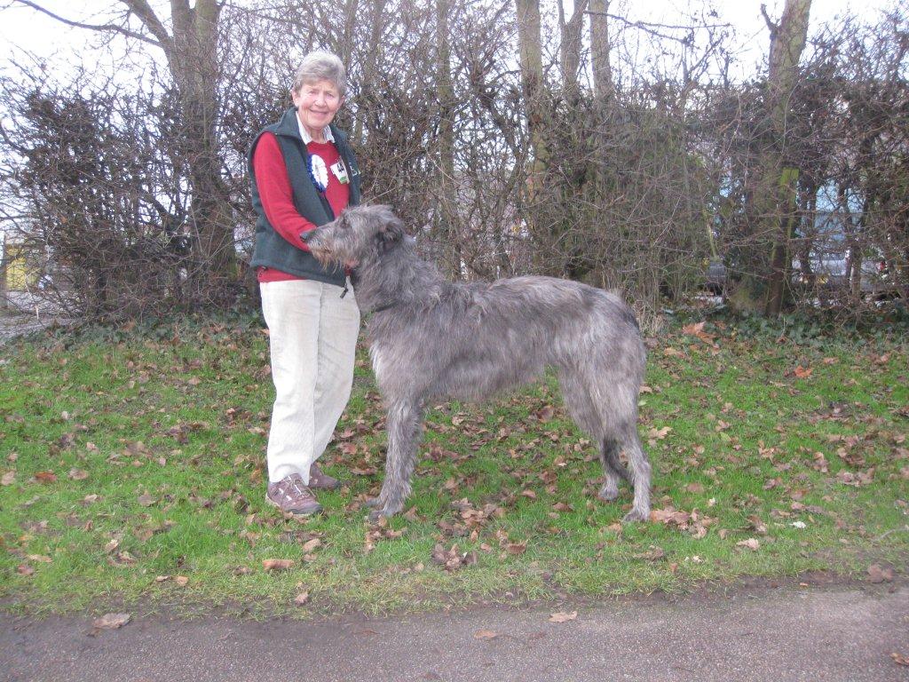 BOB & BOS Houndshow Open 2007