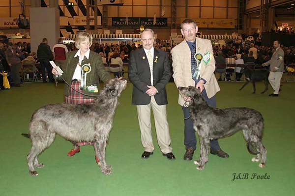 BOB & BOS Crufts 2004