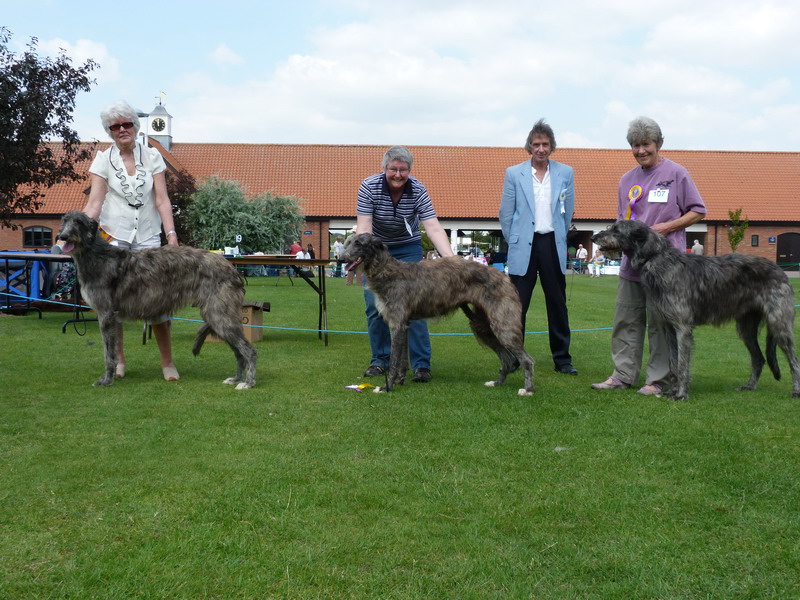 Lichfield Canine Societ 2010 BOB & Rbob