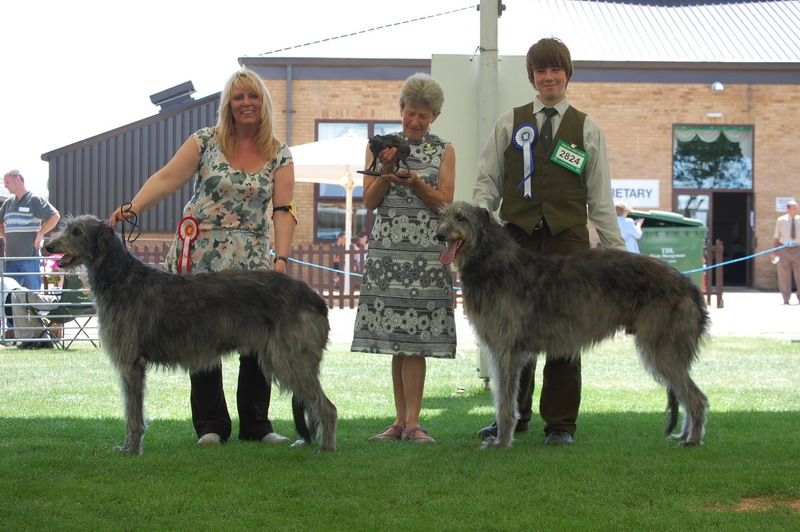 BOB & BOS Deerhound Club Breed Show 2009