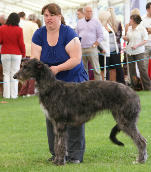 Cotherstone Take Silk