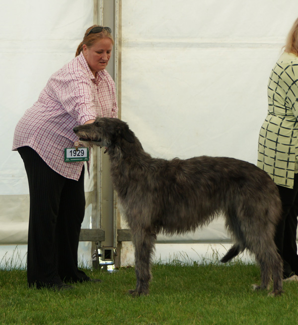 Cotherstone Duchenne