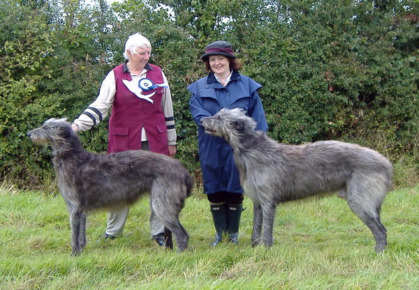 BOB & RBOB Gillingham & Shaftesbury Open Show 2007