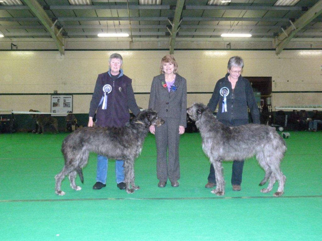 BOB & RBOB Hound Club of East Anglia