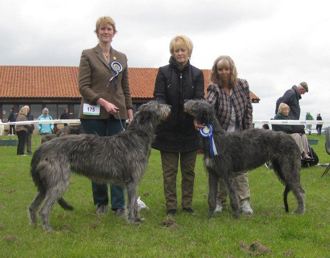 BOB & RBOB Hound Club of East Anglia