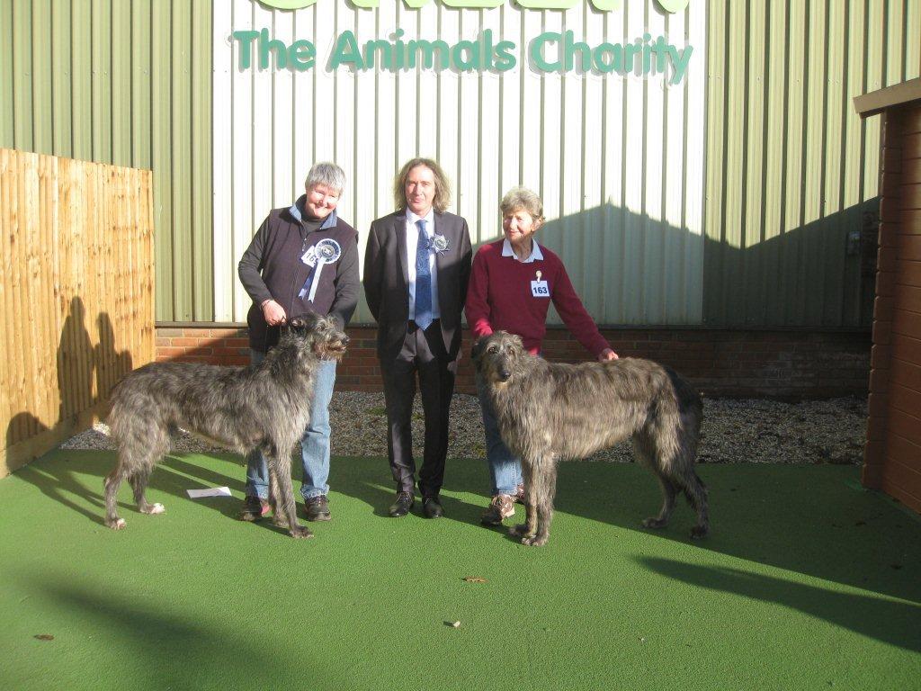 BOB & RBOB Hound Club of East Anglia