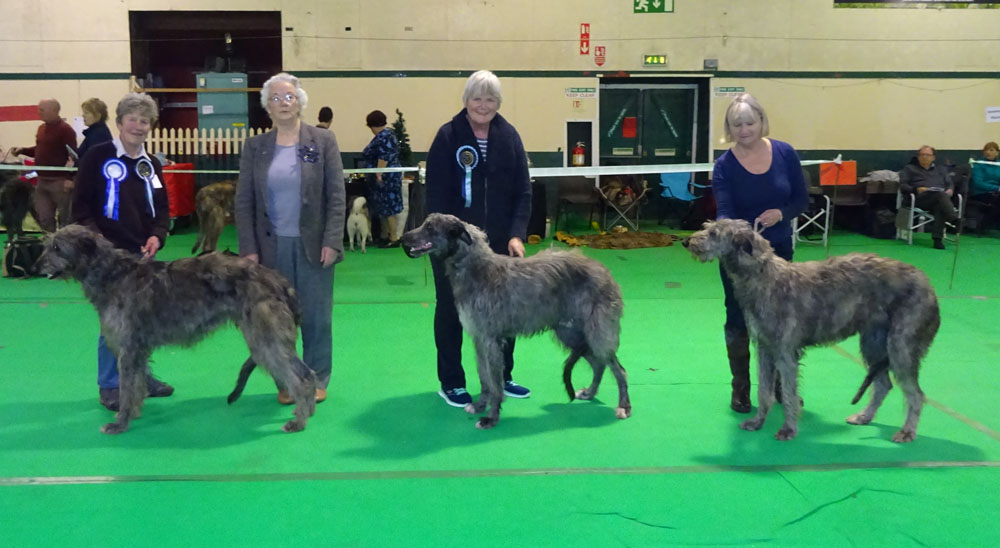 BOB & RBOB Hound Club of East Anglia