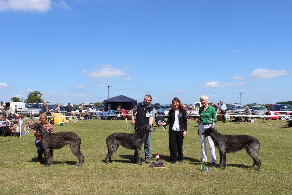 BOB & RBOB Hound Club of East Anglia