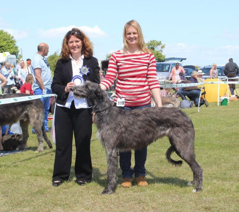 Best Puppy Hound Club of East Anglia 2015