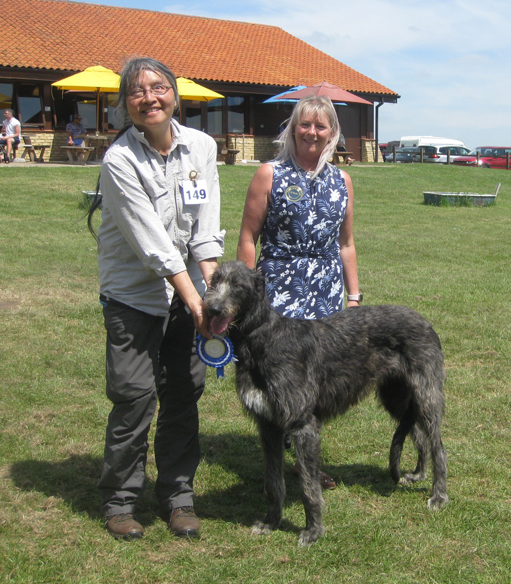 Best Puppy Hound Club of East Anglia 2015