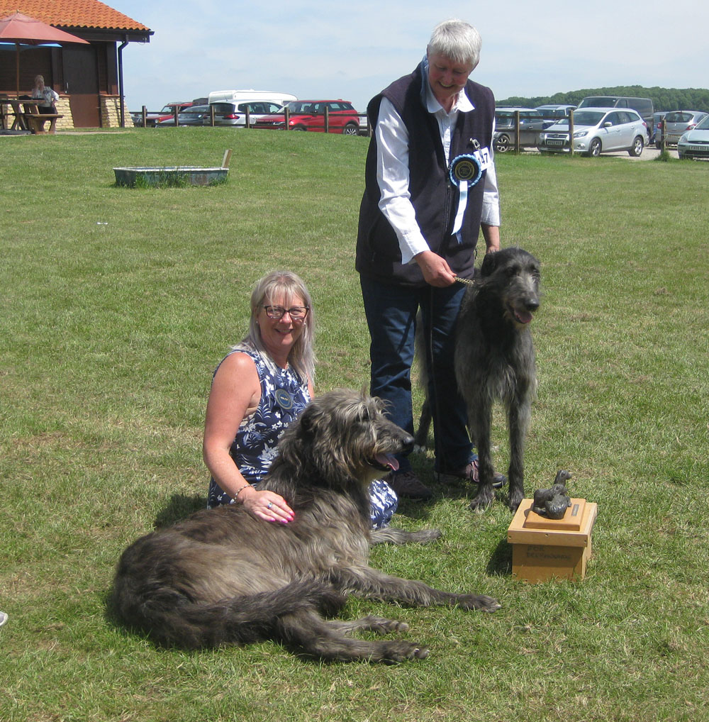 BOB & RBOB Hound Club of East Anglia