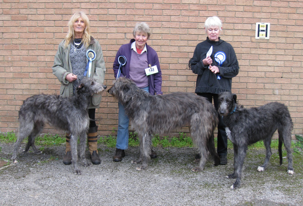 BOB & RBOB Hound Club of East Anglia