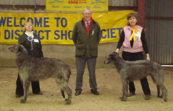 Horley & District Show Winners