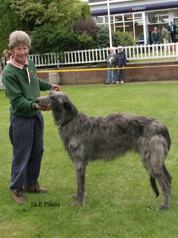 Pyefleet Percy