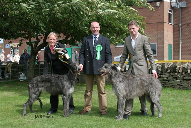 BOB & BOS Houndshow 2005