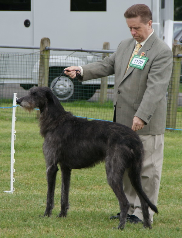 Cloweswood Acer of Peopleton