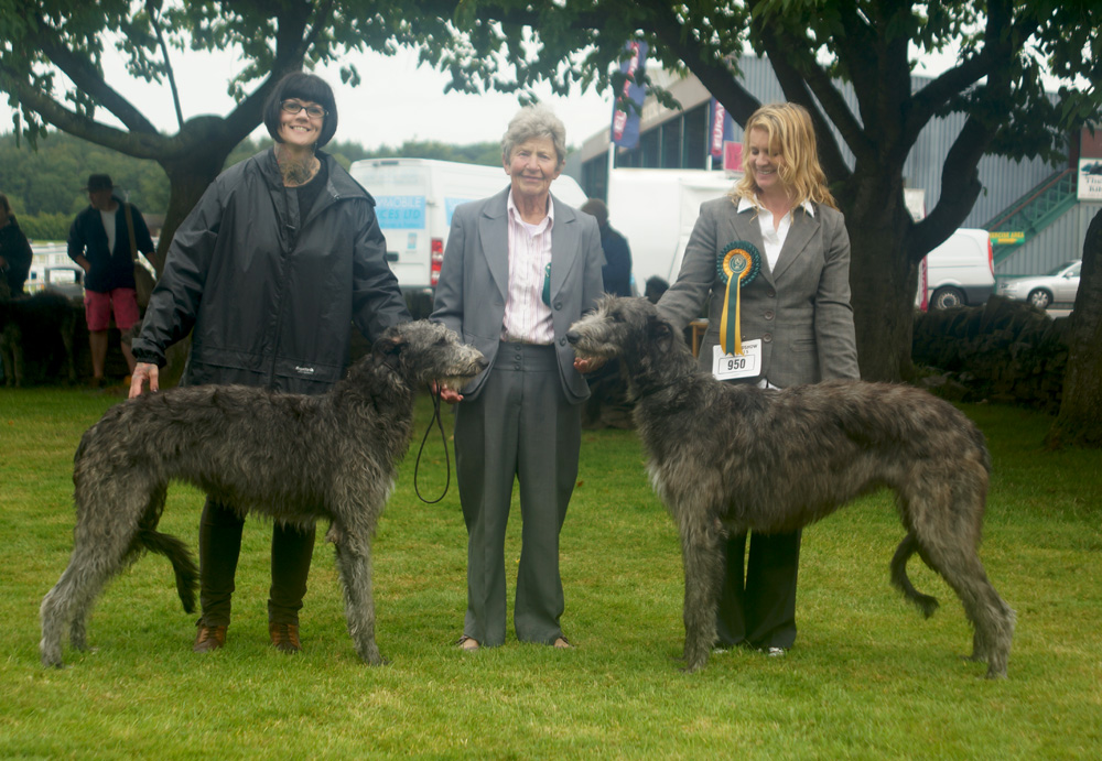 Best Puppy Houndshow 2015