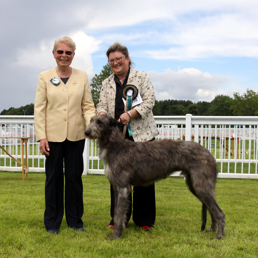 Best Puppy Houndshow 2017