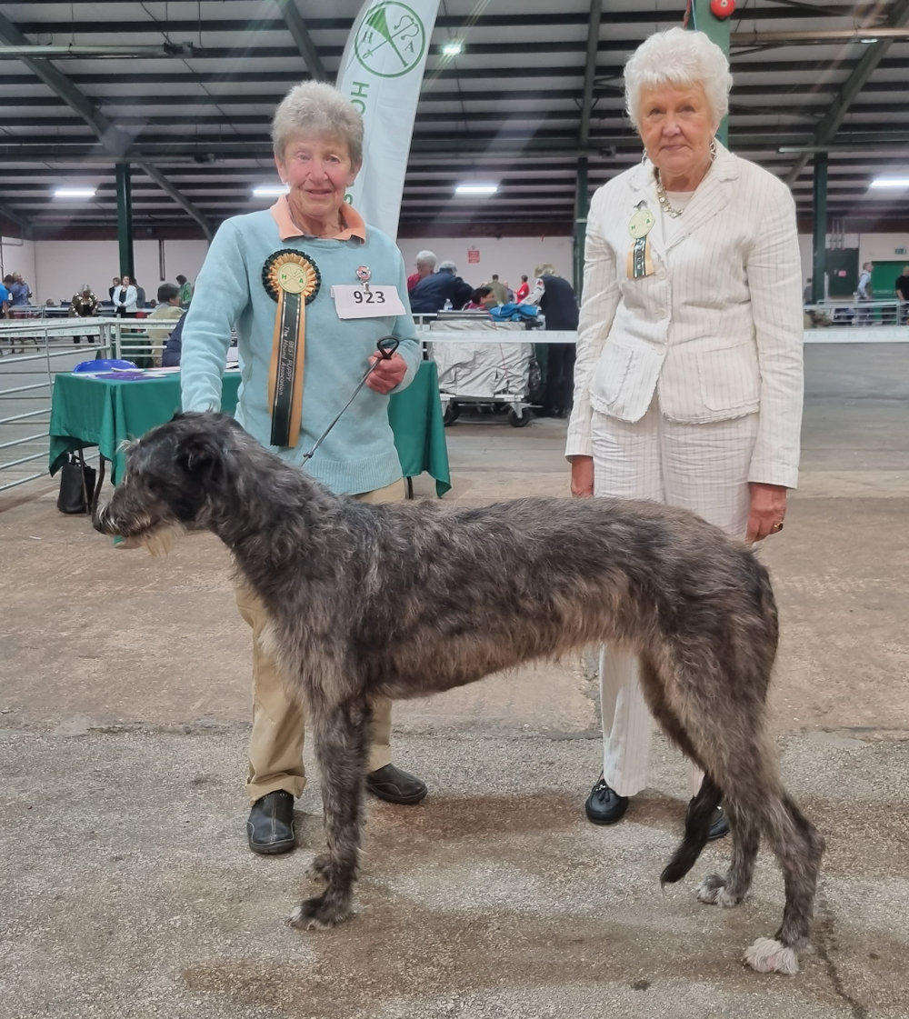 Best Puppy Houndshow 2021