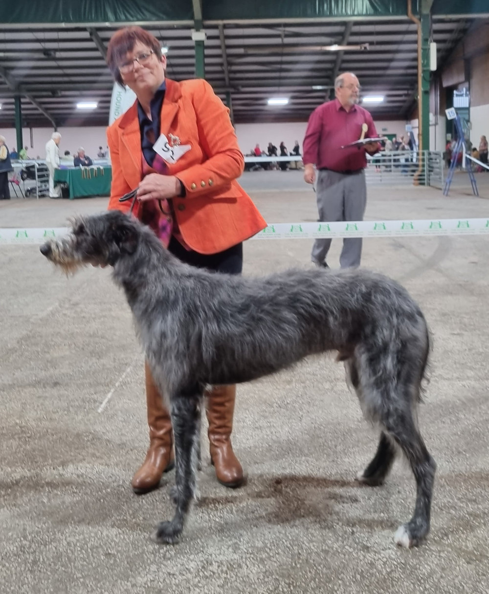 Humbiehounds Velvet Tattie