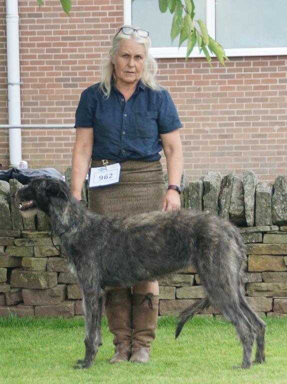 Best Puppy Houndshow 2021