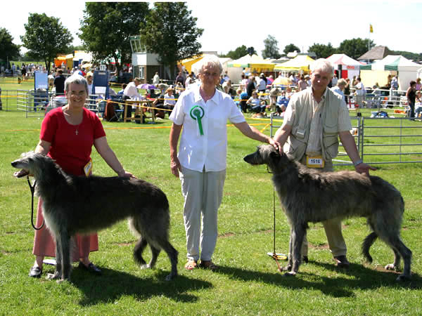 BOB & BOS Deerhound Club Breed Show 2004