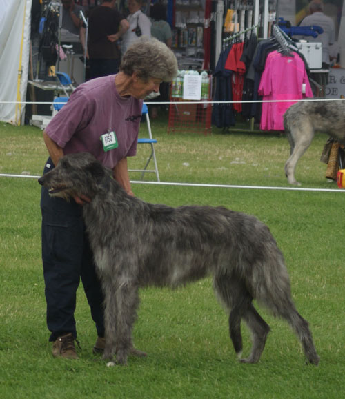 Pyefleet Rokesby