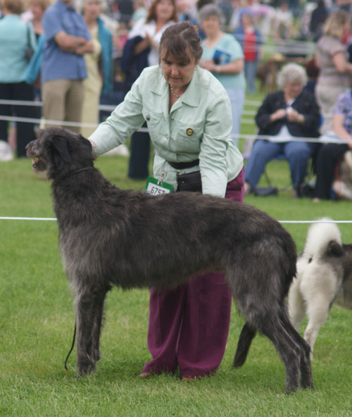 Greyfriars Gille of Beardswood