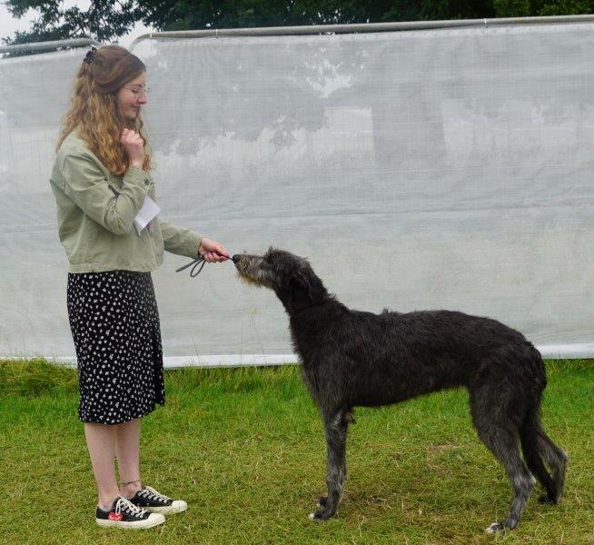 Best Puppy Leeds 2017