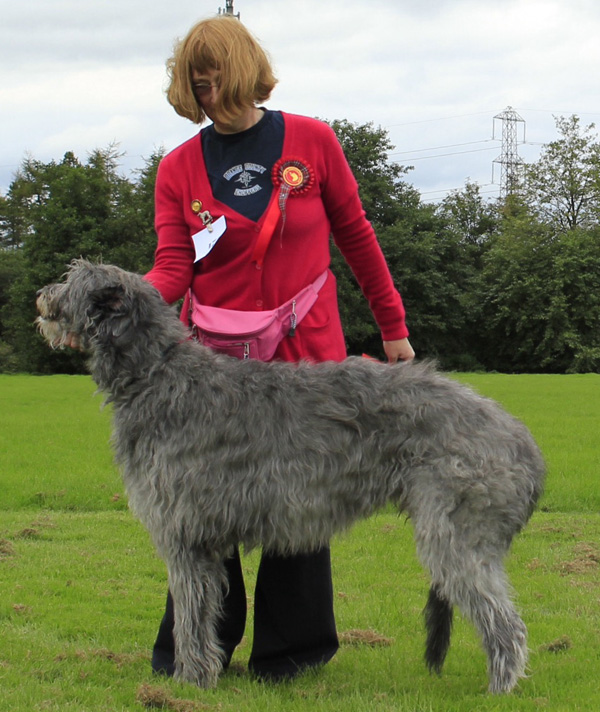 Killoeter Quern at Cuillinmoor