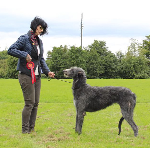 Sorimsway Field of Puppies