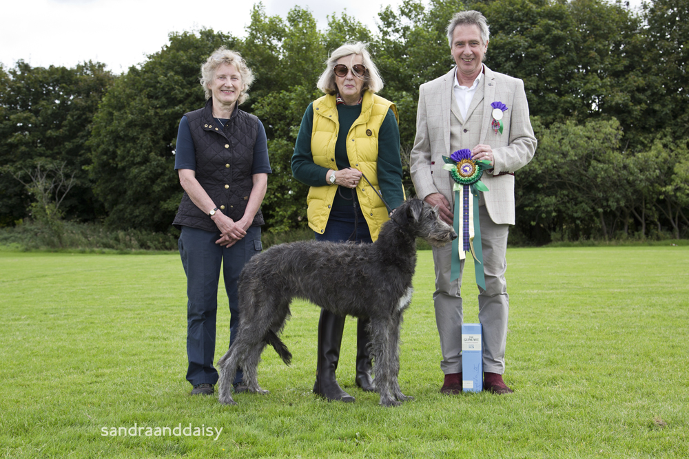 Best Puppies Limited Show 2015