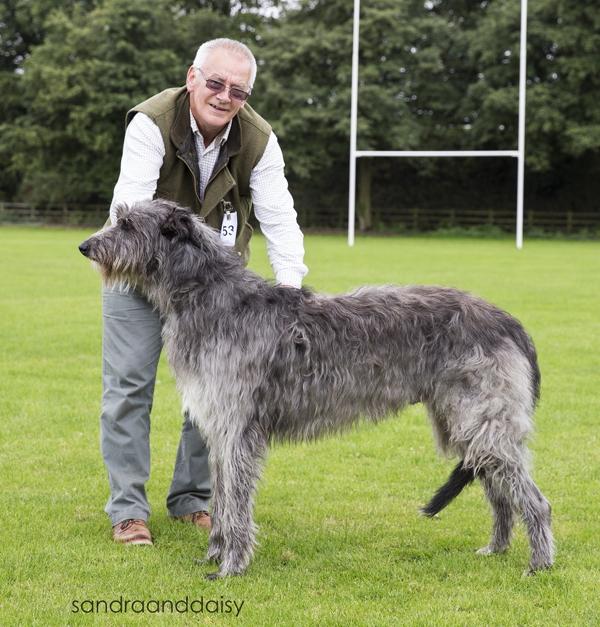 Postgraduate Dog 1st & Reserve Best Dog