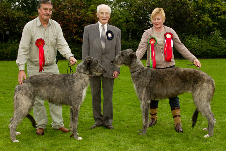 Best Puppies Limited Show 2010