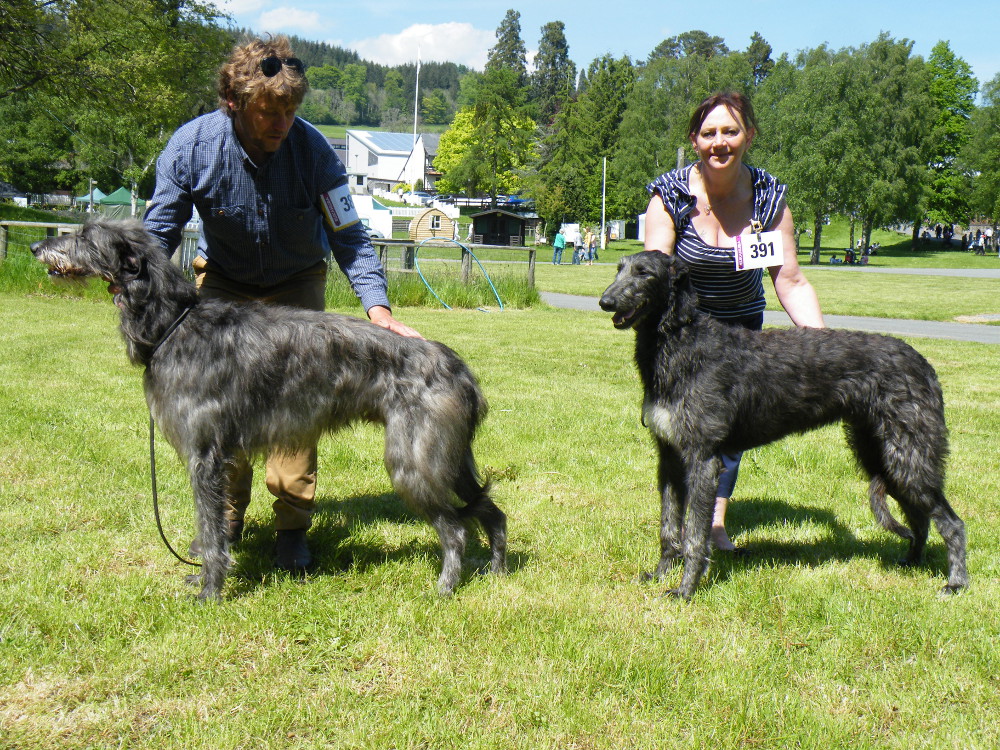 BOB & RBOB Hitchi Open Show 2013