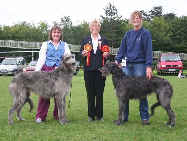 Beardswood Marmion & Beardswood Niamh